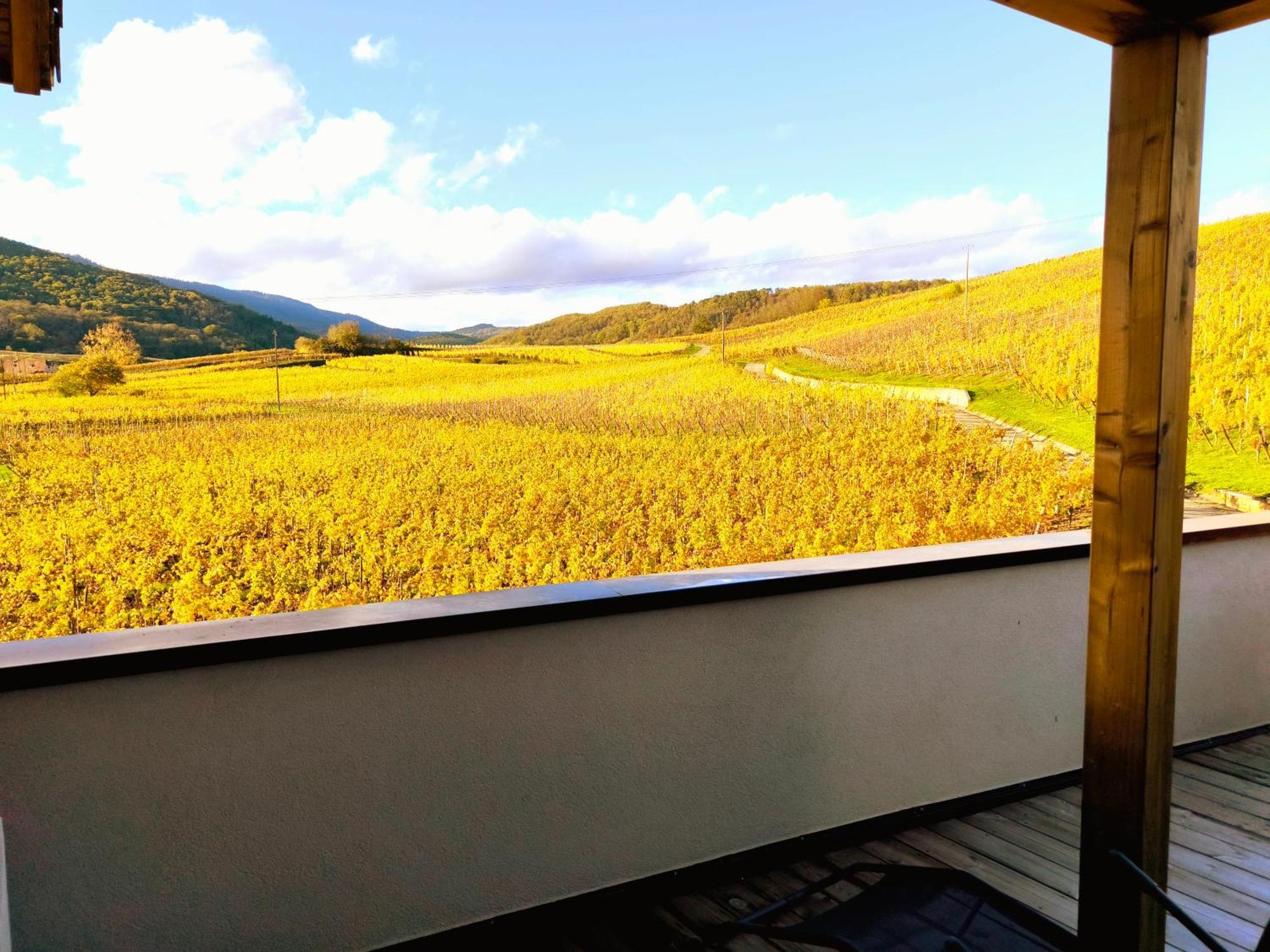 L'Horizon Apartment Bergheim Luaran gambar