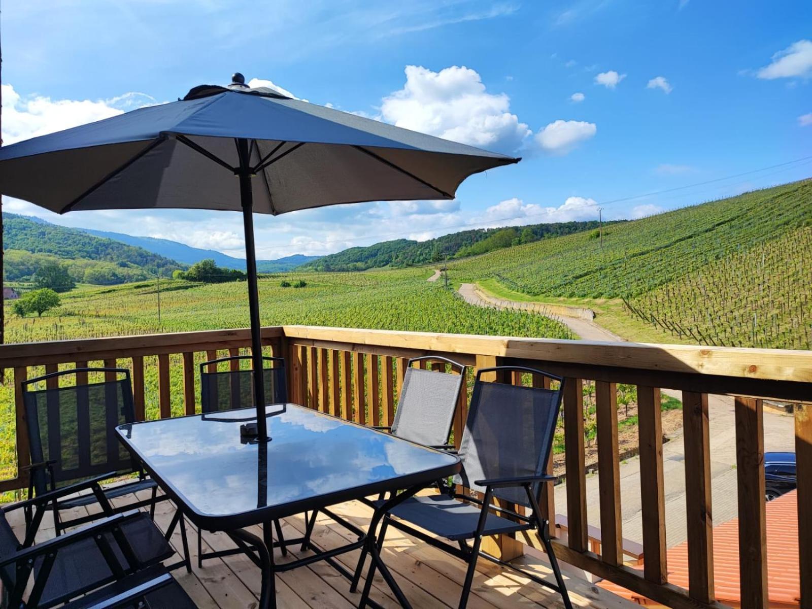 L'Horizon Apartment Bergheim Luaran gambar